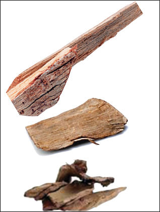 அரச மரம், அத்தி மரம், ஆல மரம், பூவரசு மரம் பட்டைகள்