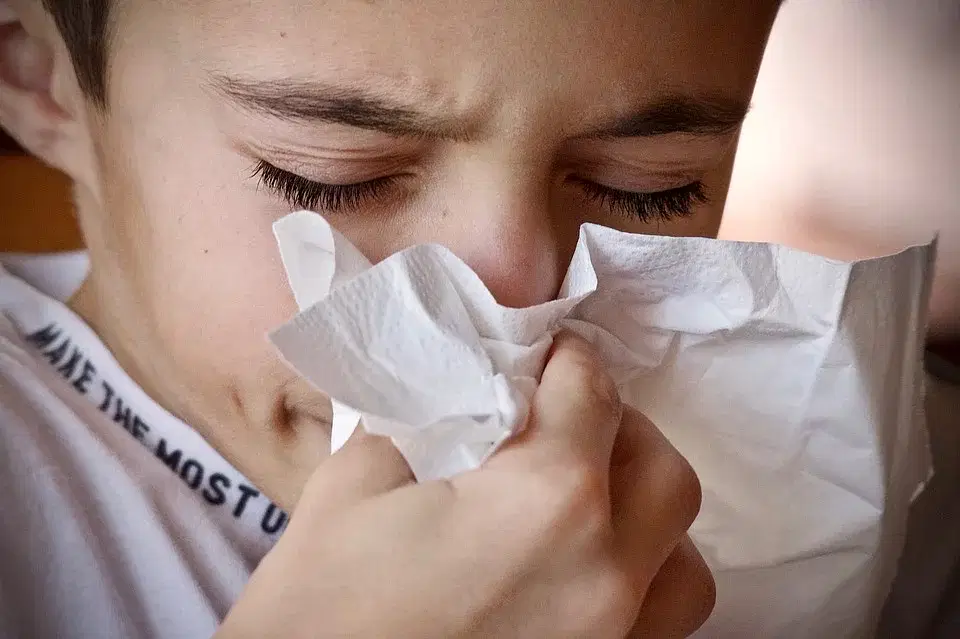 cold and fever