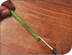 வெஜிடபிள் கார்விங்