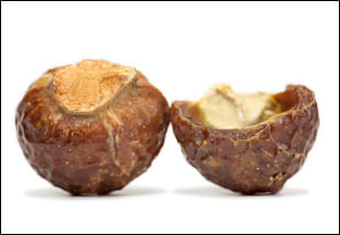 பூந்திக்கொட்டை