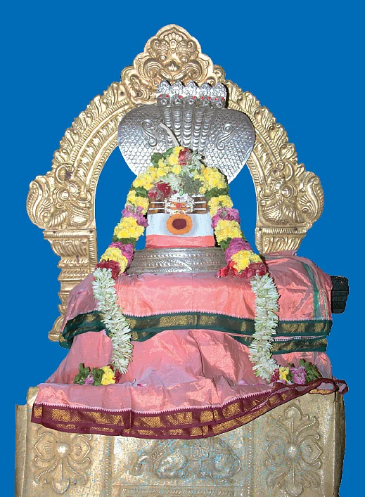 ஸ்ரீநஞ்சுண்டேஸ்வரர்