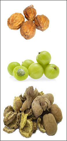 கடுக்காய், நெல்லிக்காய், தான்றிக்காய்