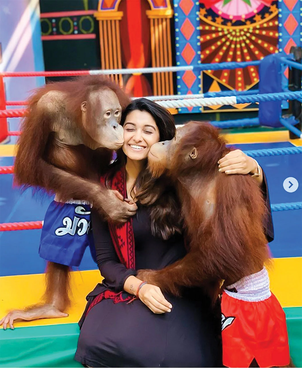 பிரியாபவனி