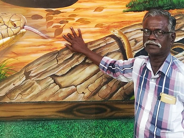 `வாரம் ஒரு சாரைப்பாம்பு; பெரிய கோழி; லைட் ஆகாது!'- பாம்புகளின் `திகில்' சர்வைவல் சொல்லும் ரத்தினம்