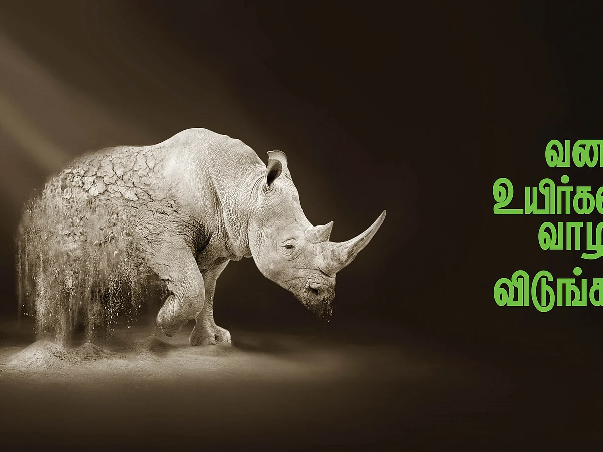 வன உயிர்களை வாழ விடுங்கள்!