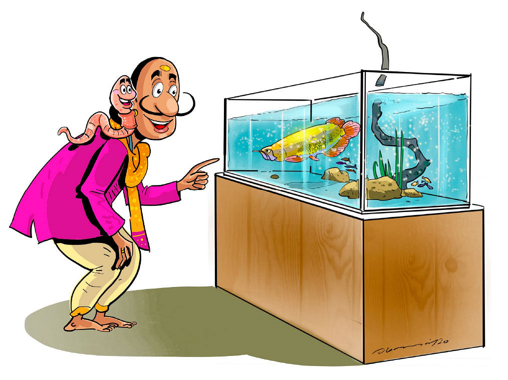 மண்புழு மன்னாரு