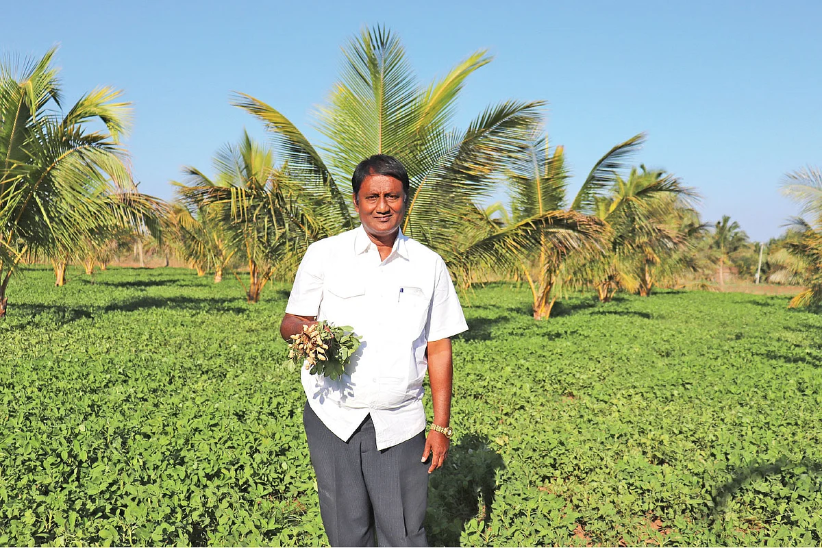 நிலக்கடலைத் தோட்டத்தில் சாந்திகுமார்