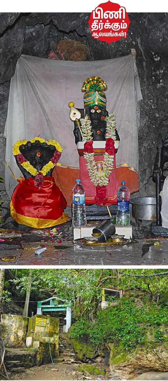 சுகவாழ்வளிக்கும் சுருளி வேலப்பர்!