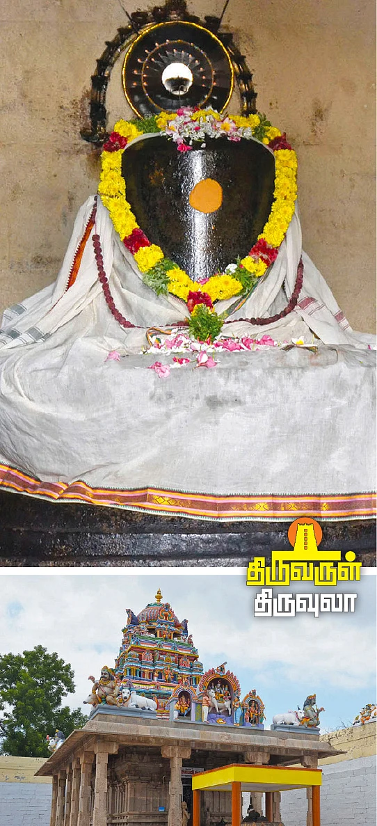 மேனி நலம் காக்கும் திருமேனி நாதர்!