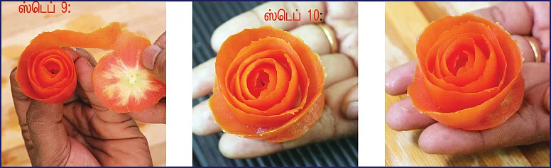 டொமேட்டோ ரோஸ்