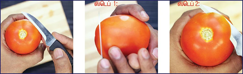 டொமேட்டோ ரோஸ்