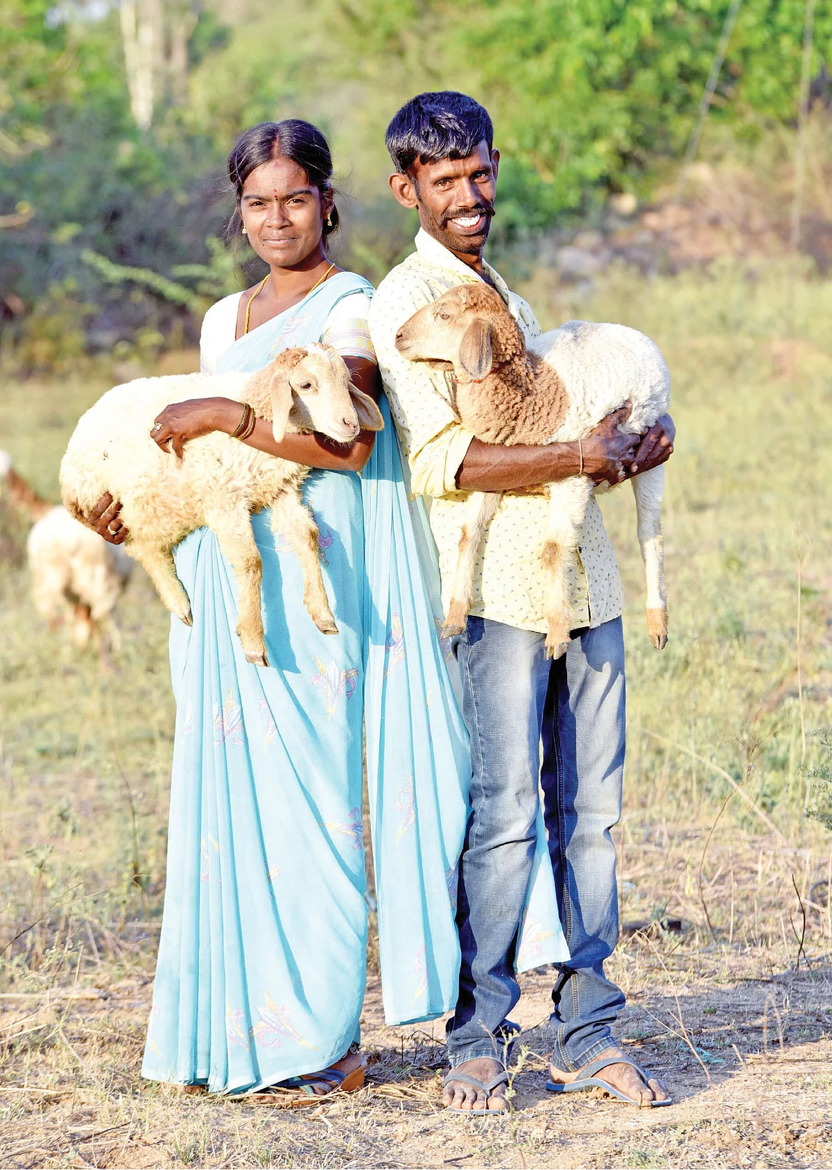 செம்மறி ஆடுகளுடன் பிரபு தம்பதி