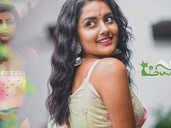 மிஸ்டர் மியாவ்
