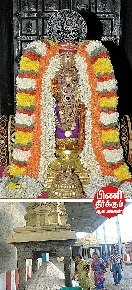 நோய் தீர்க்கும் தேனும் தினை மாவும்!