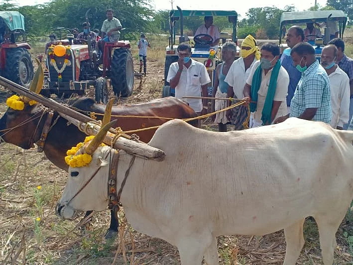”சித்திரை உழவு பத்தரை மாற்றுத் தங்கம்!” -கோடை உழவு செய்த விவசாயிகள்