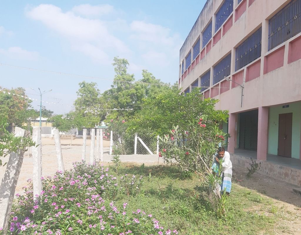 மரக்கன்றுகளுக்குத் தண்ணீர் ஊற்றும் சத்துணவு அமைப்பாளர்