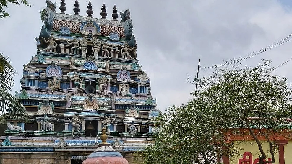நாரதர் உலா