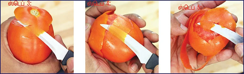 டொமேட்டோ ரோஸ்