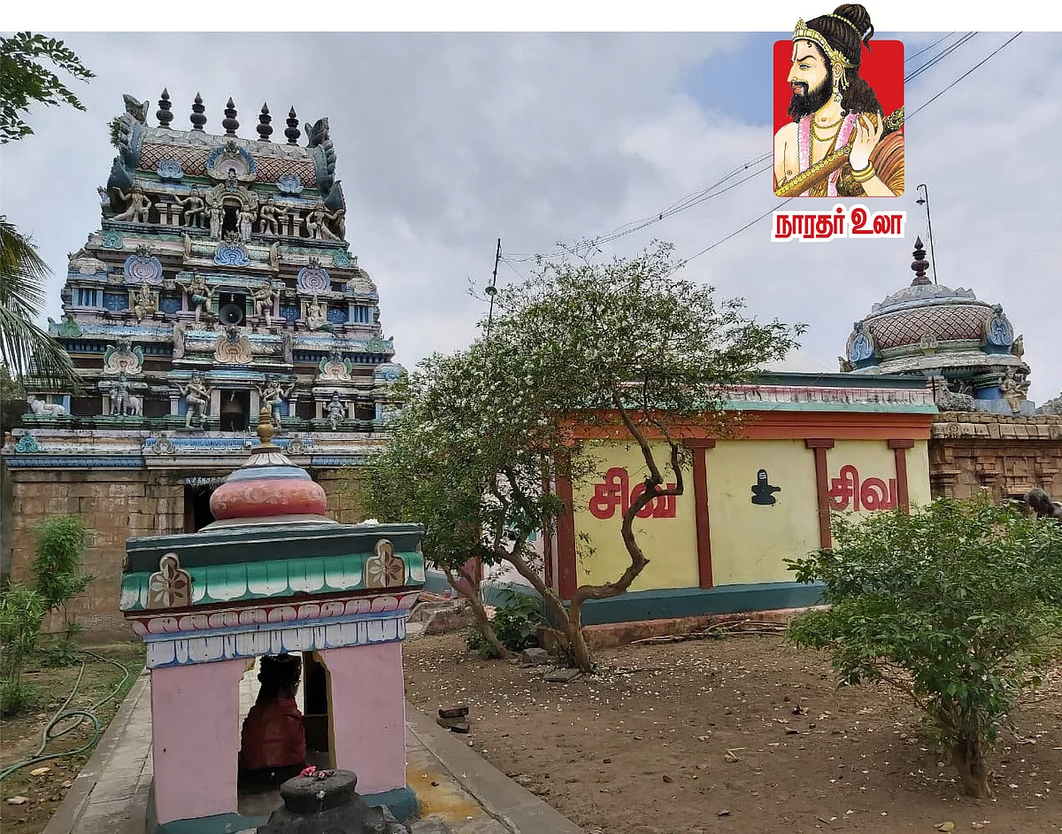 நாரதர் உலா