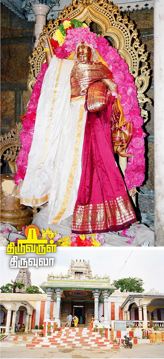 நளிர்சுரம்
நீக்கிய நாரீஸ்வரர்!