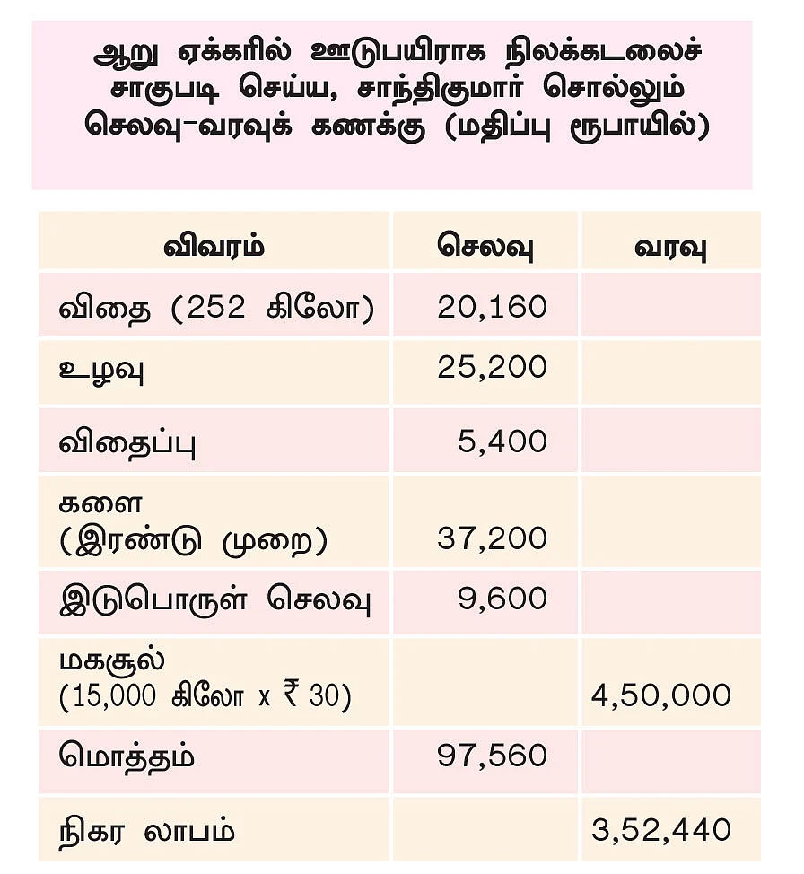 6 ஏக்கர்... ரூ. 4,50,000... நிச்சய வருமானம் கொடுக்கும் நிலக்கடலை!