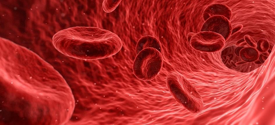 plasma (Representational Image)
