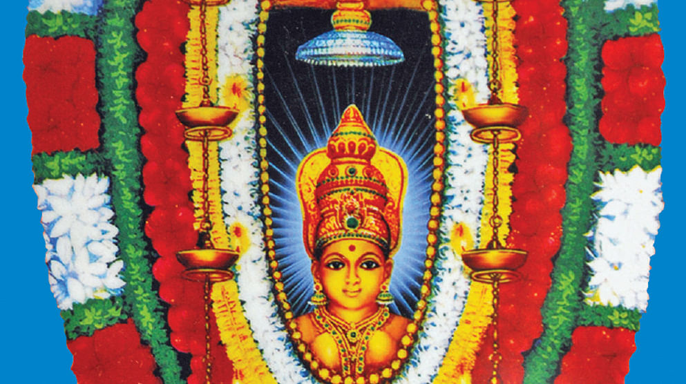 Malayapuzha Bhagavathi   The Mookambika Devi in  Kali form in Kerala The temple is situated  Hindu gods Kali Skeletor