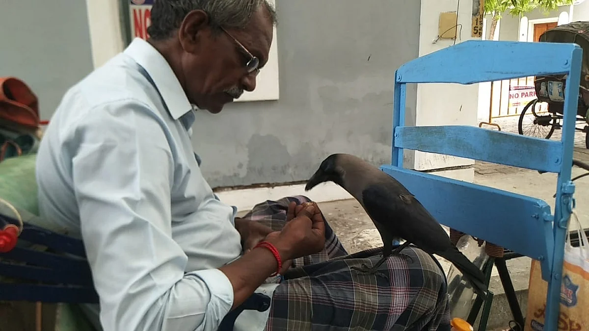 ரிக்ஷா ஓட்டுநருடன் காகம்