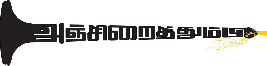அஞ்சிறைத்தும்பி