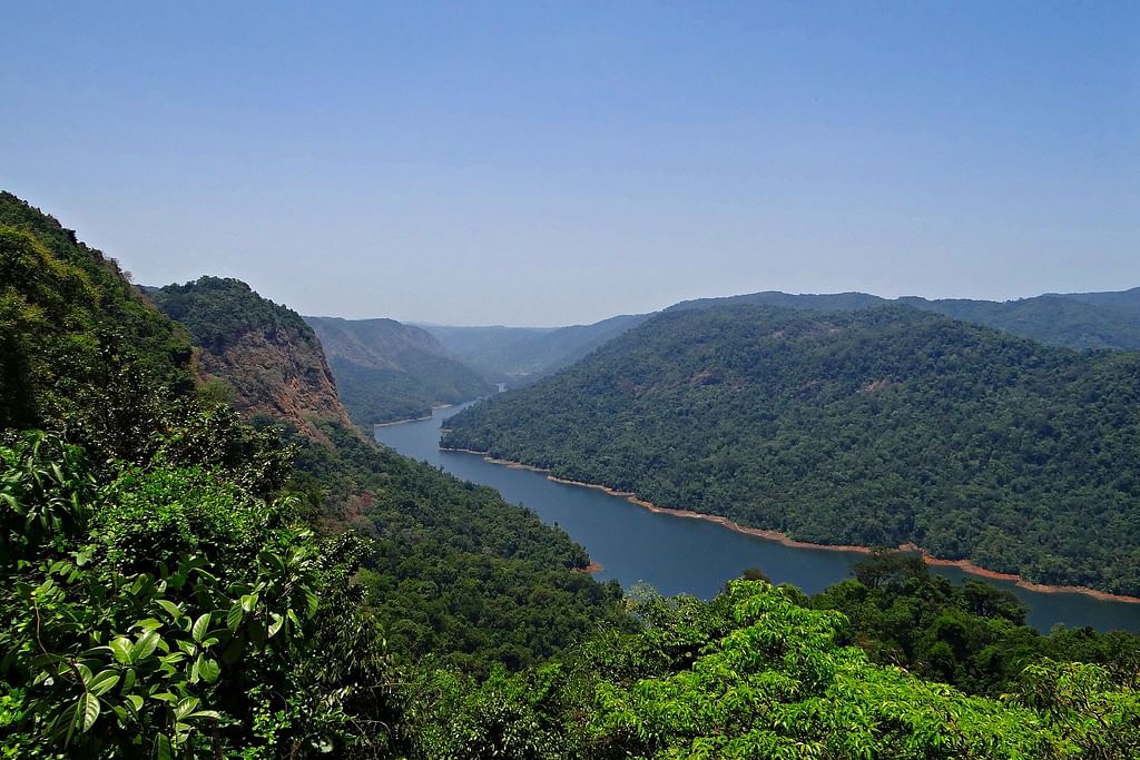 மேற்குத் தொடர்ச்சி மலை