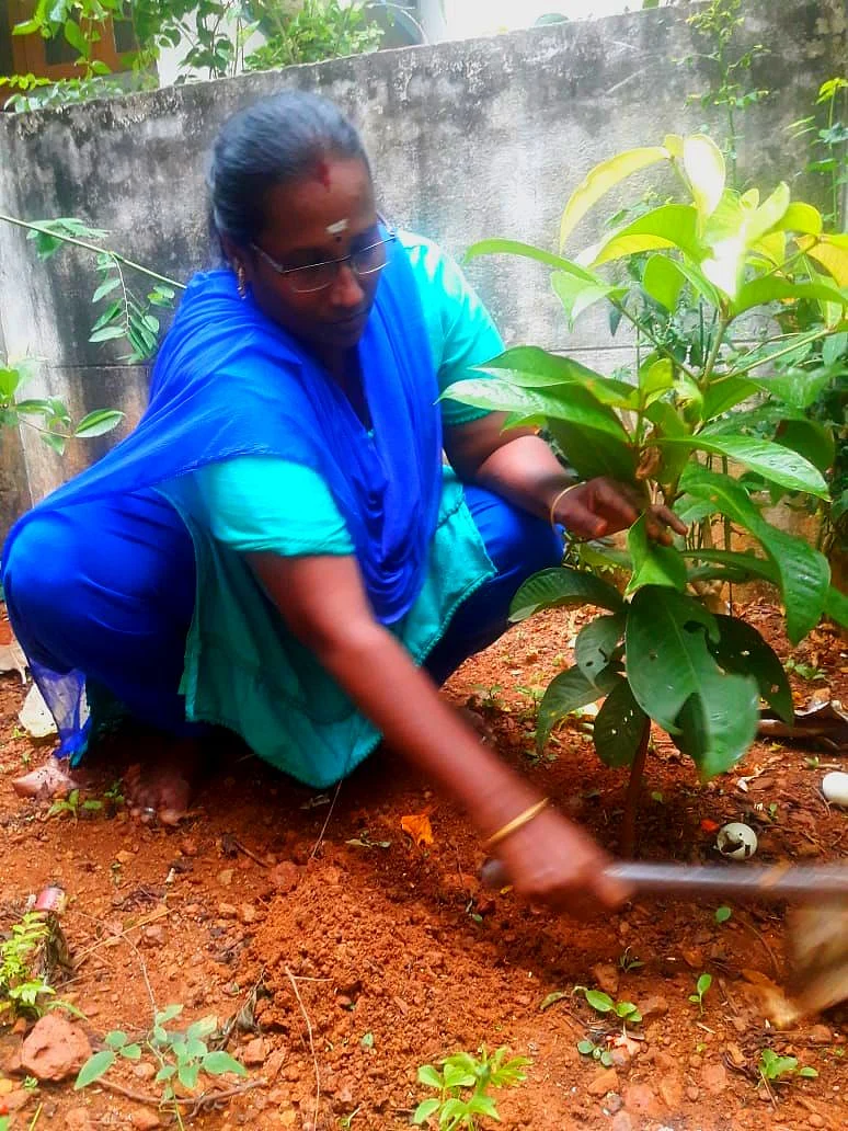 'ஒரே ஒரு செடிதான் வெச்சேன்..!’ -மாடித் தோட்டத்தில் திராட்சைக் கொத்துகள்; அசத்தும் காரைக்குடி பெண்