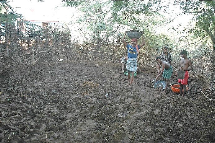 இயற்கை வேளாண்மை: 8 - மண்ணை விரைவில் வளமாக்கும் மண்புழு உரம்!