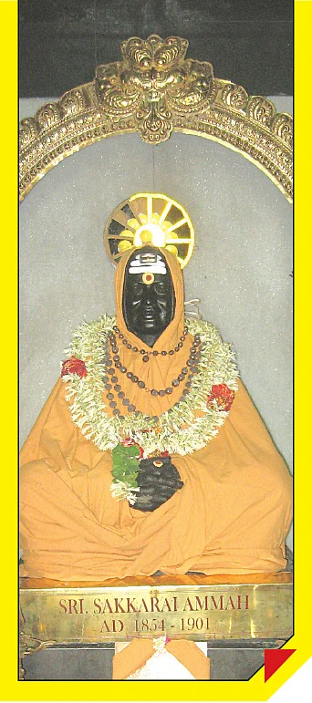 ‘பறவைச் சித்தர்’ ஶ்ரீசக்கரை அம்மா’