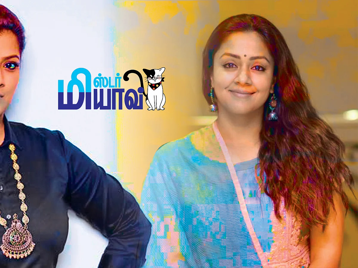 மிஸ்டர் மியாவ்