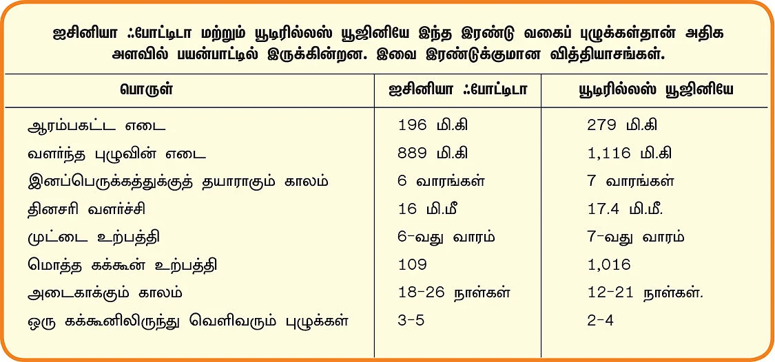 இயற்கை வேளாண்மை: 8 - மண்ணை விரைவில் வளமாக்கும் மண்புழு உரம்!