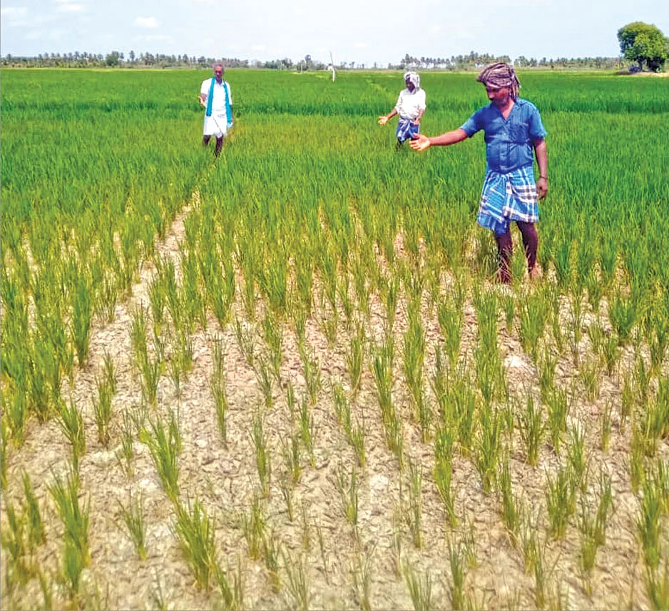 மும்முனை மின்சாரம் தட்டுப்பாடு... பன்முனை தாக்குதலில் விவசாயிகள்!
