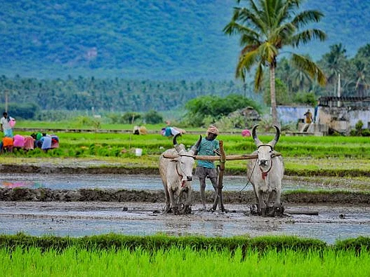 `உழவர் குழு, இ-மார்க்கெட்டிங், கிசான் கார்டு லோன்'- விவசாயிகளுக்கான பா.ஜ.க-வின் பக்கா பிளான்!
