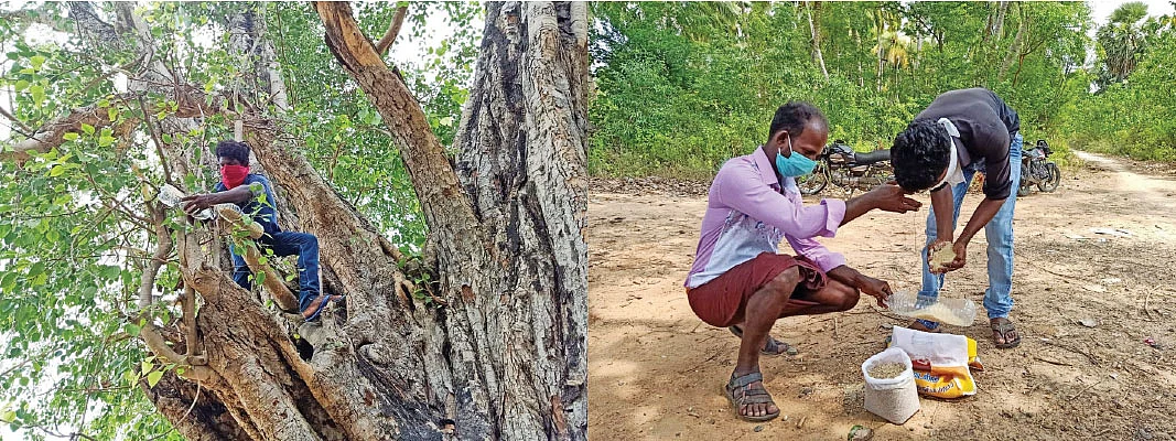 பறவைகளின் பசியைப் போக்கும் இளைஞர்கள்!