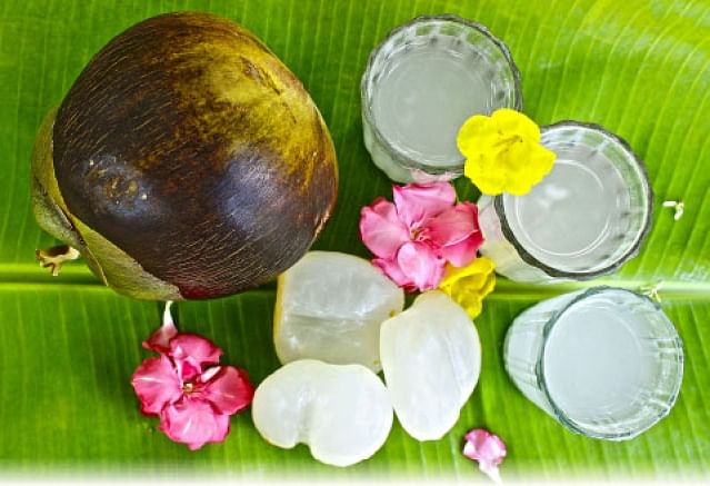 நுங்கு