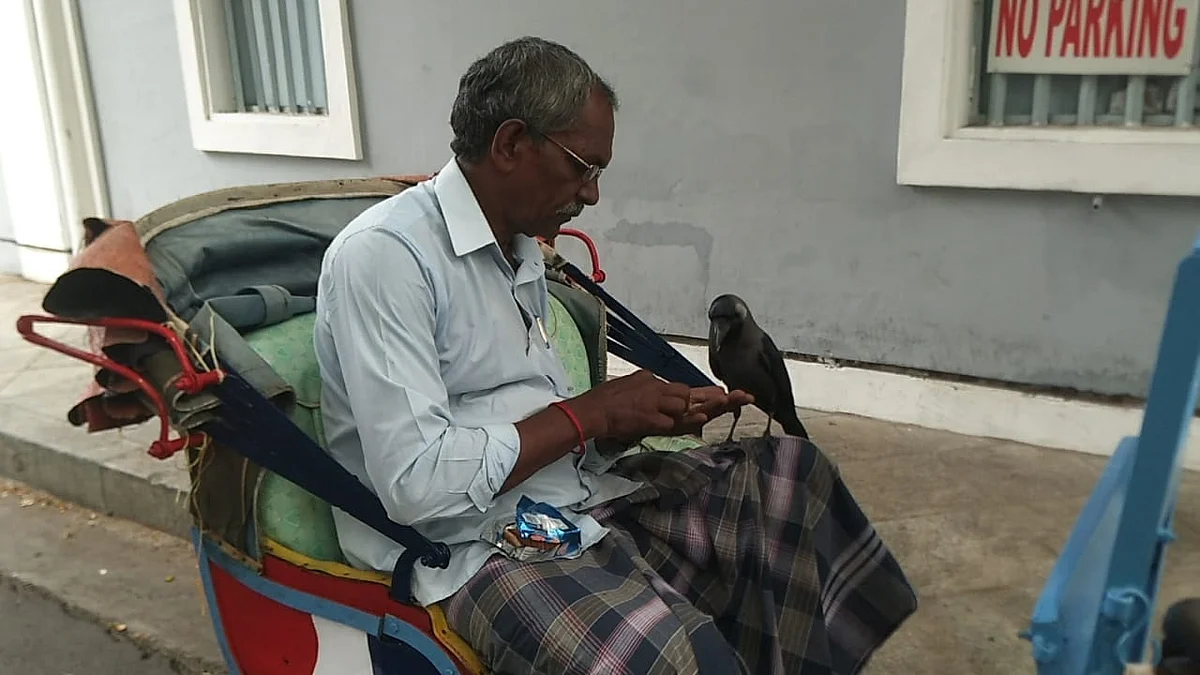 ரிக்ஷா ஓட்டுநருடன் காகம்