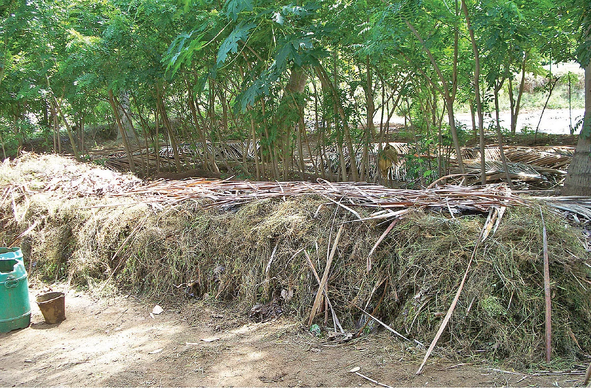 இயற்கை வேளாண்மை: 8 - மண்ணை விரைவில் வளமாக்கும் மண்புழு உரம்!