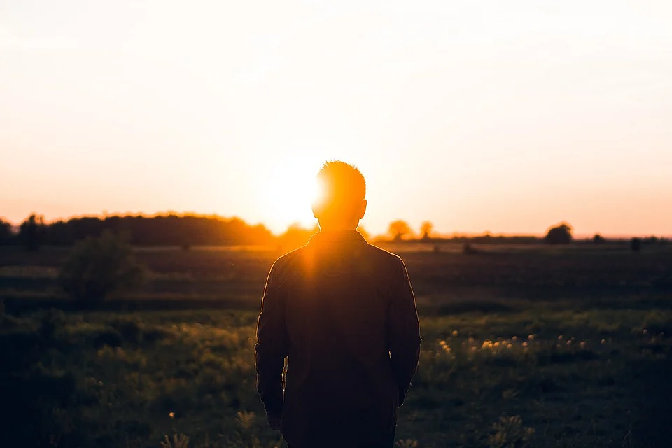 Sunlight