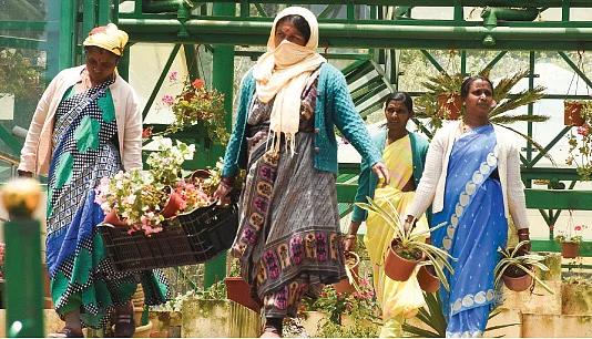 200 பெண்களின் உழைப்பில் உருவான 10 லட்சம் மலர்கள்!
