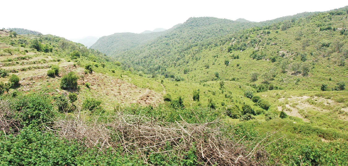 சுற்றுச்சூழல்