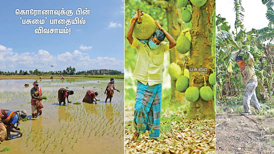 விவசாயம்