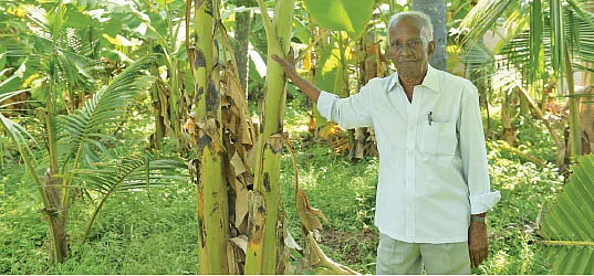 தசரதராமன்