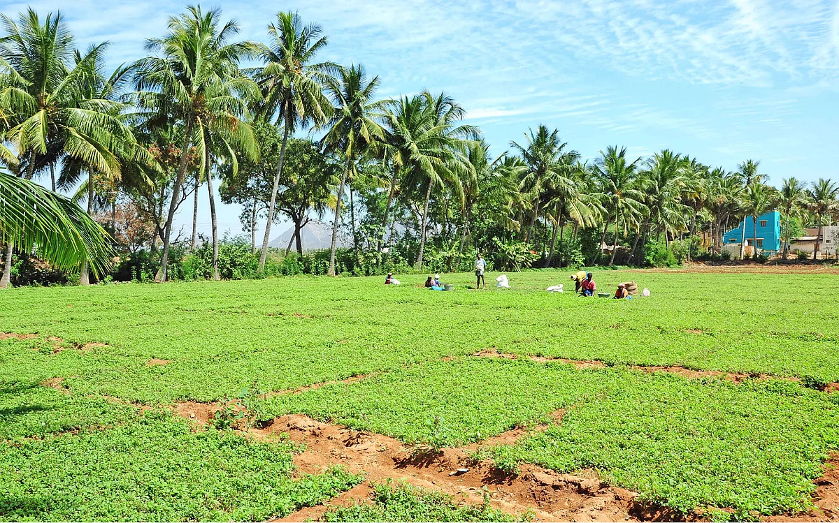இயற்கை வேளாண்மை