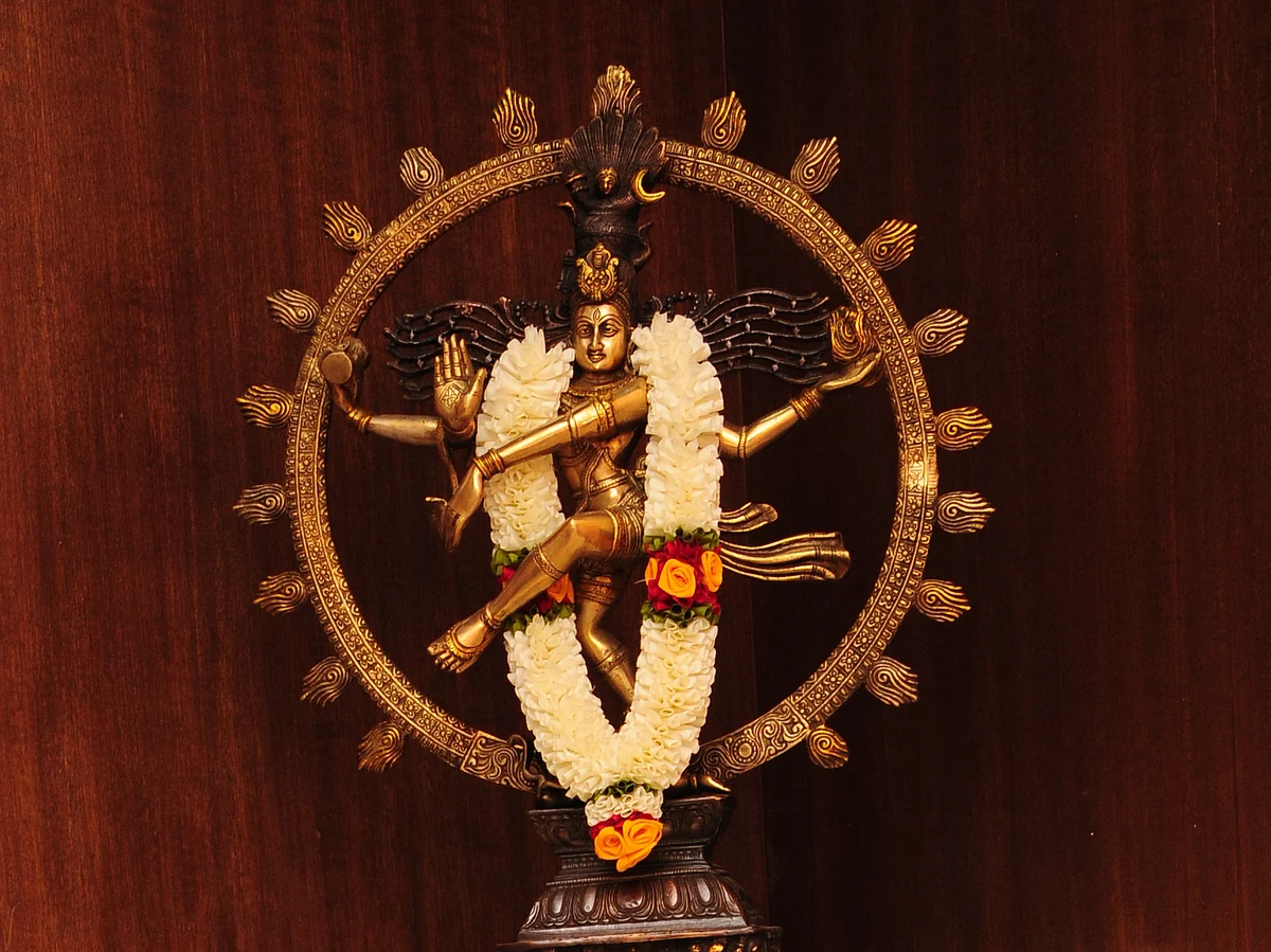 சிதம்பரம்: நடராஜர் கோயிலில் ஆனித் திருமஞ்சன திருவிழா நடக்குமா? அரசு சொல்வது என்ன?
