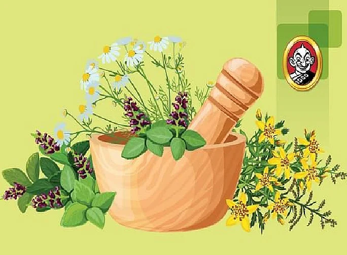 சித்த மருத்துவம்