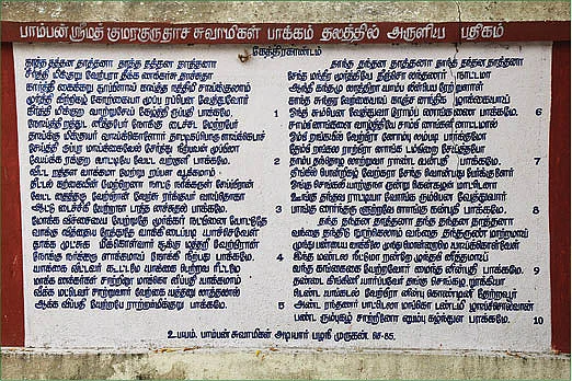 கண்டுகொண்டேன் கந்தனை - 31: பாக்கத்தில் அமர்ந்த பரமன்